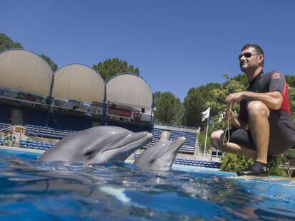 Uno de los entrenadores del Zoo junto a dos de los delfines.