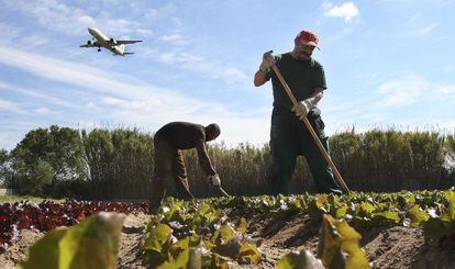 Dos trabajadores de Cuina Justa en el huerto que les ha cedido el Ayuntamiento de El Prat.