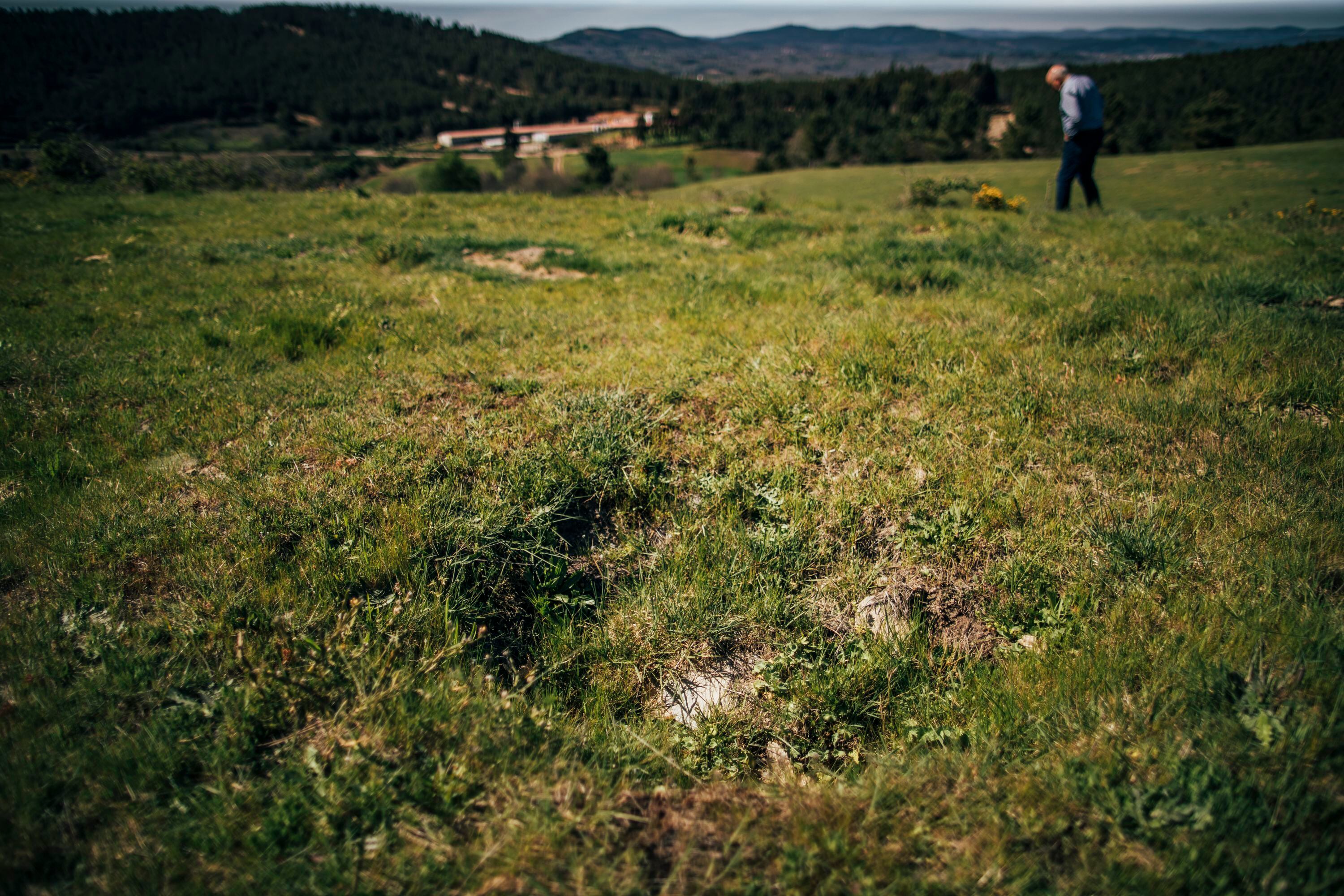 Finca de Vilardevós donde deberían estar los 1.200 olivos que formaban parte del Proyecto Castaña. 