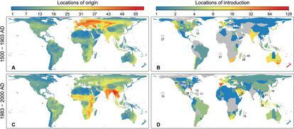 El mapa muestra las zonas de origen (izquierda) y destino en dos grandes periodos, el colonial y desde 1983. Cuanto más al rojo, más trasvase de aves.