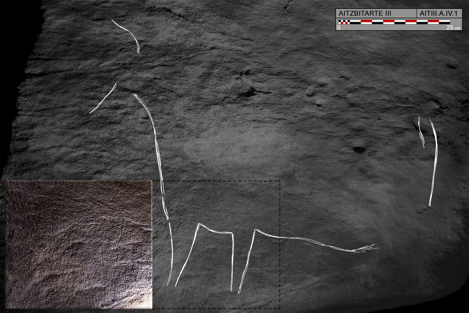 Estos grabados de bisontes datan de hace 27.000 años / O. Rivero y D. Garate