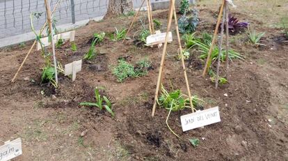 Antes de primavera alguien decidió poner fin a ese acto de resistencia, la reja volvió a amurallar la tierra y la tela dejó de cubrir el árbol