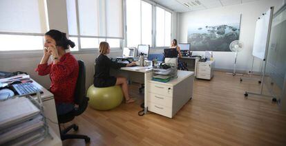 Mujeres trabajando en las oficinas de una pyme vasca.