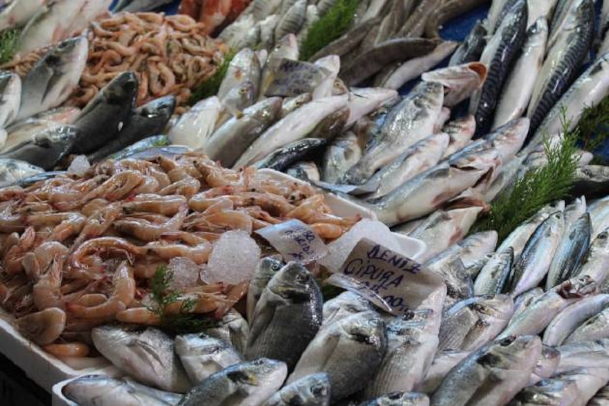 La guía definitiva de las temporadas de pescados y mariscos | El Comidista  | Gastronomía | EL PAÍS