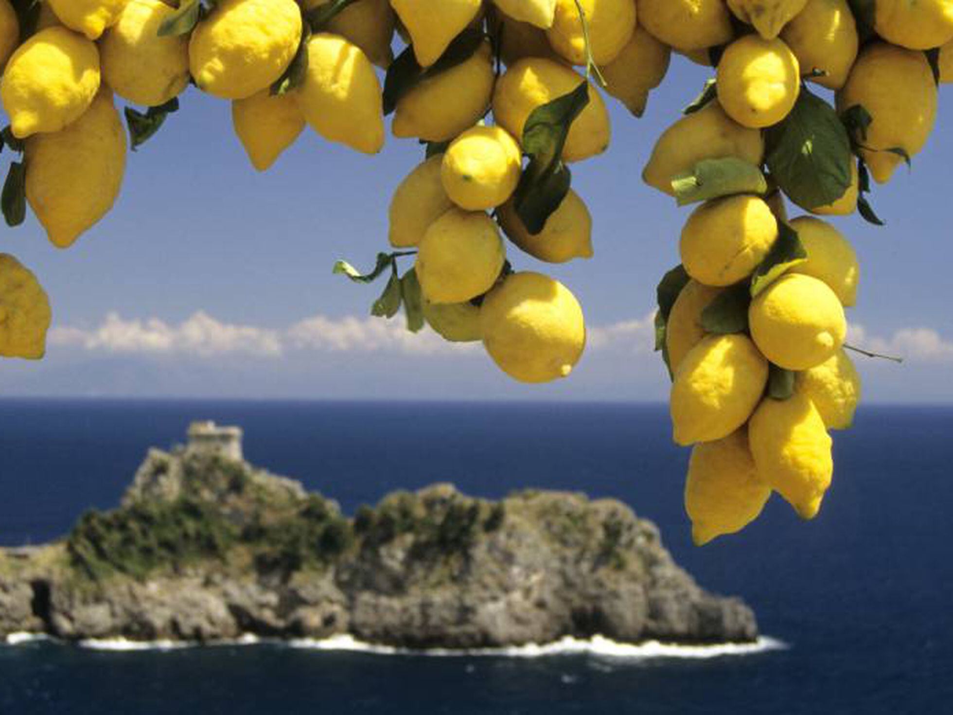 Limones que hicieron historia | Cultura | EL PAÍS