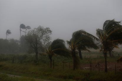 Las autoridades cubanas avanzaron en una evaluación preliminar que el paso del huracán 'Ian' causó daños "considerables". En la imagen, fuertes vientos sacudían los árboles en la provincia de Pinar del Río, Cuba, este martes.