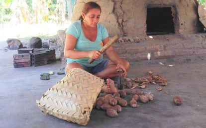 Maria de F&aacute;tima Ferreira, abriendo cocos de babas&uacute;.breaks open a baba&ccedil;u coconut at a cooperative in Esperantina, Brazil, July 14, 2015. 