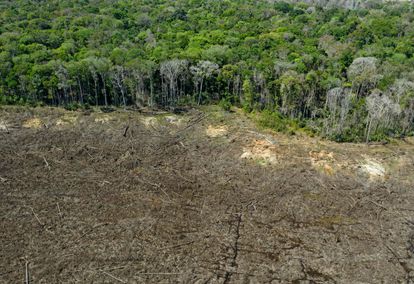 Un área deforestada en una zona cercana a la ciudad de Sinop, en Mato Grosso, el pasado agosto.