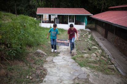 Dos niños desplazados trabajan en una granja cafetalera que funciona como escuela en Tena, Cundinamarca.