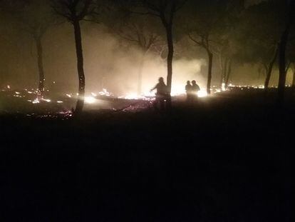 Bomberos forestales trabajan en el incendio en Moguer (Huelva).