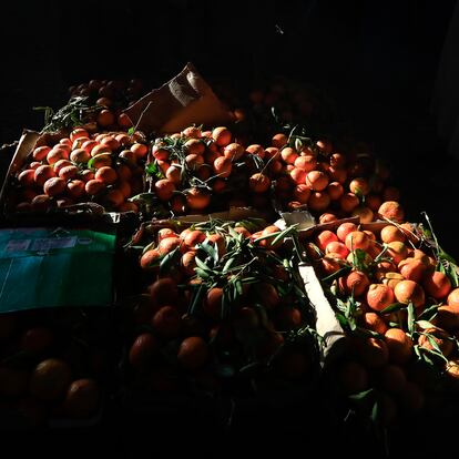 Precios Alimentos Sistema Alimentario Global