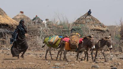 Efectos de la sequía en Etiopía.