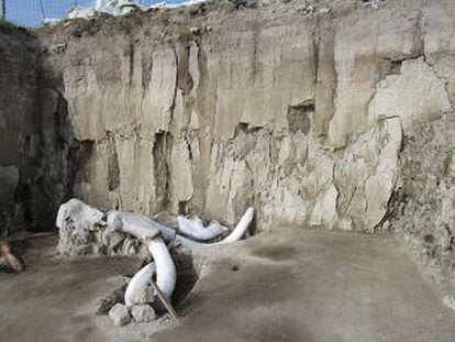 El descubrimiento representa un hito en el estudio de la Prehistoria por ser la primera vez que se prueba esta forma de cacería, según el Instituto Nacional de Antropología e Historia mexicano