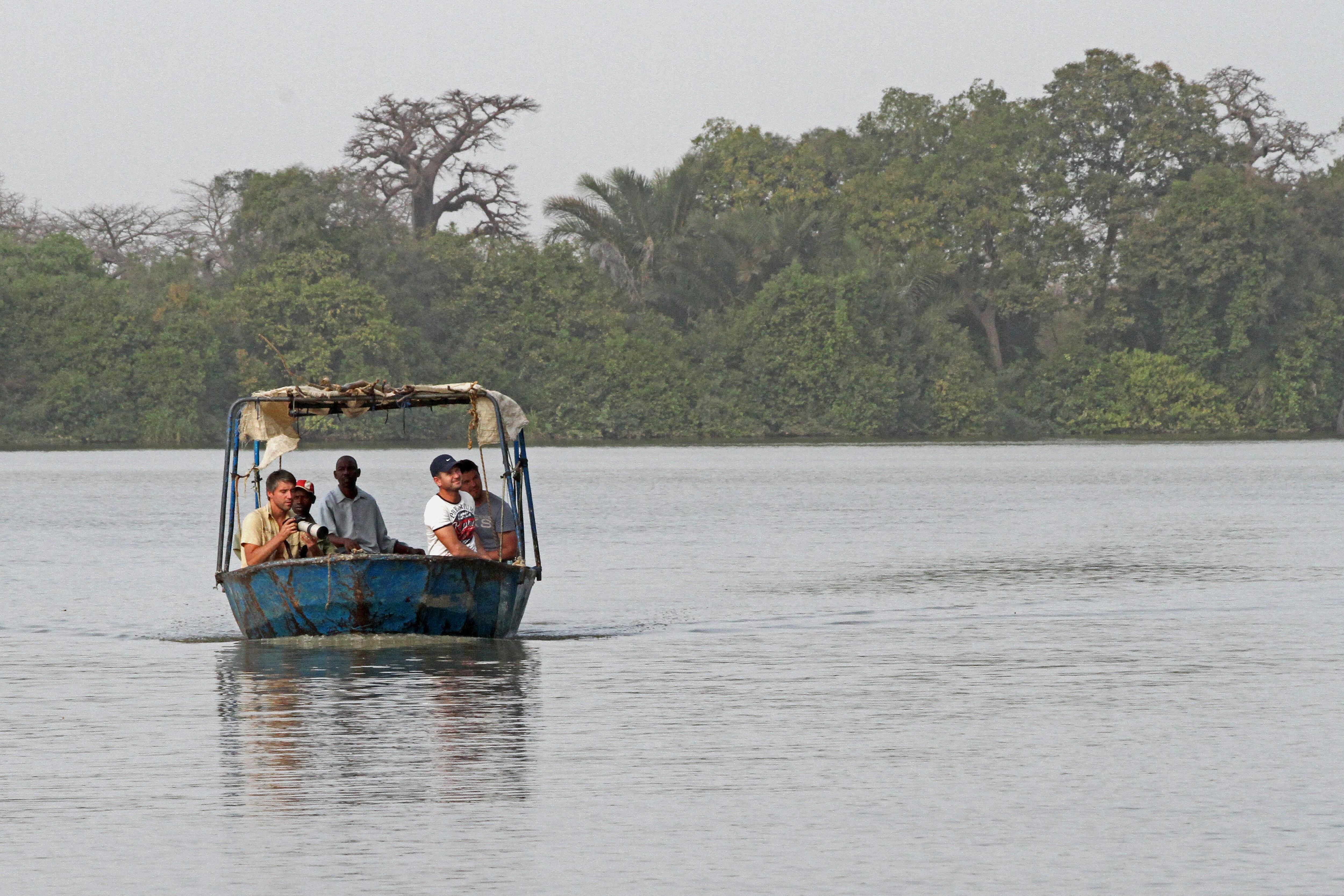 Una barca navega por el River Gambia National Park.