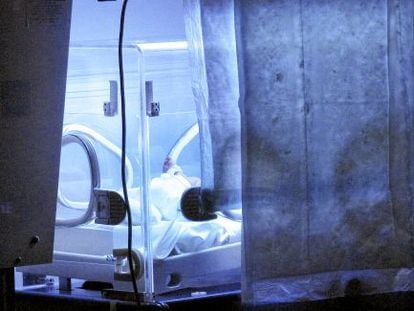 Un bebé en una incubadora del Hospital Gregorio Marañón de Madrid.