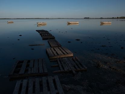 Laguna de Lobos, provincia de Buenos Aires, Argentina
