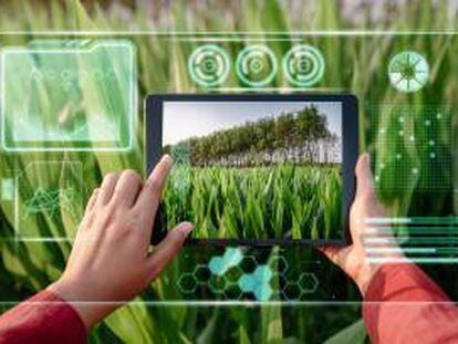 Una aplicación con tecnología
‘blockchain’ para optimizar los cultivos
