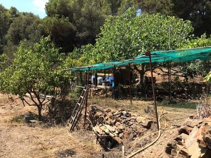 L’hort d’en Tomàs (el huerto de Tomás) en Barcelona será desmantelado el 12 de octubre por la Administración pública.