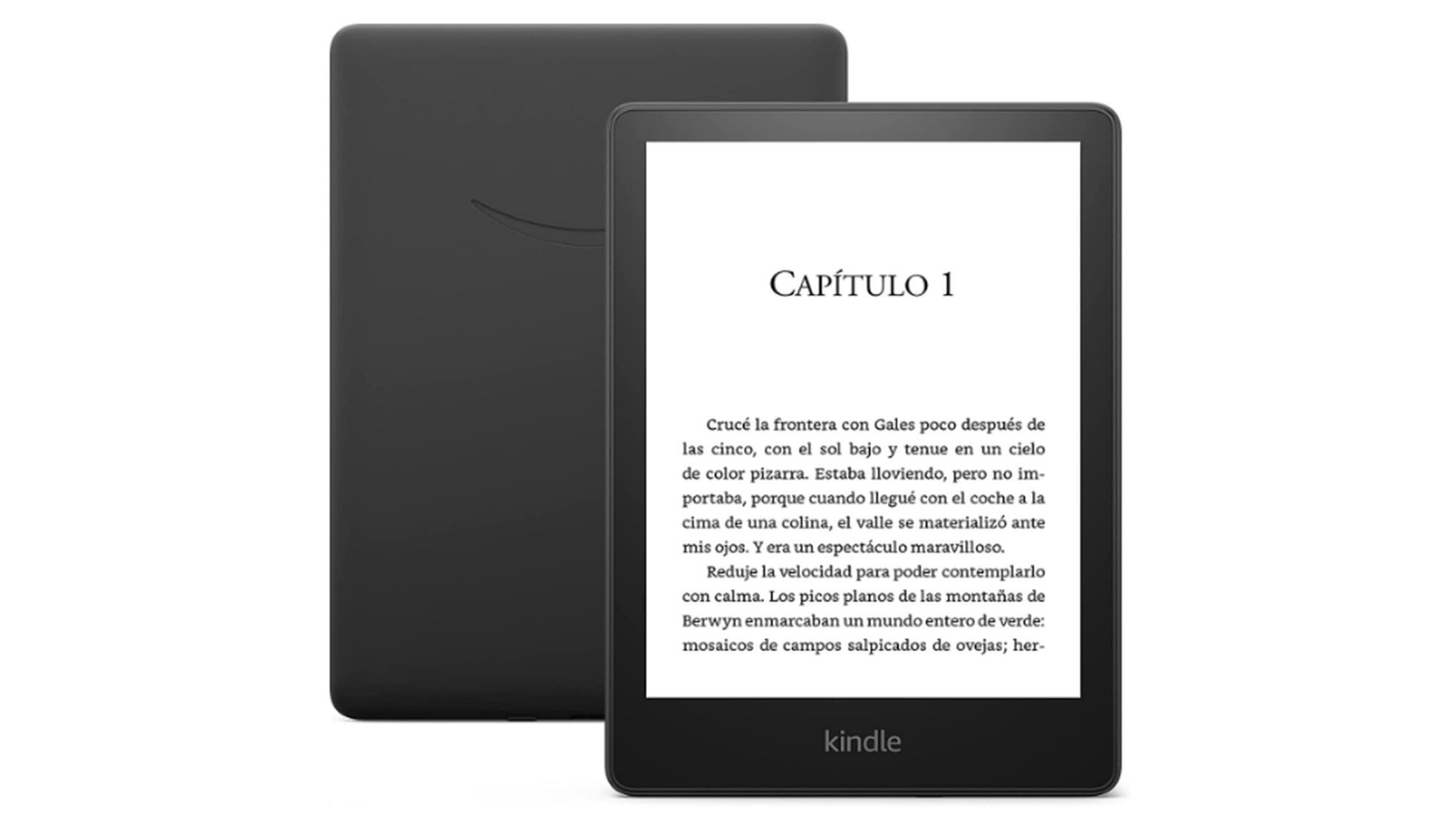 Las mejores ofertas en Estiletes para lector de libros electrónicos y  tablet para Apple iPad (6th Generation)