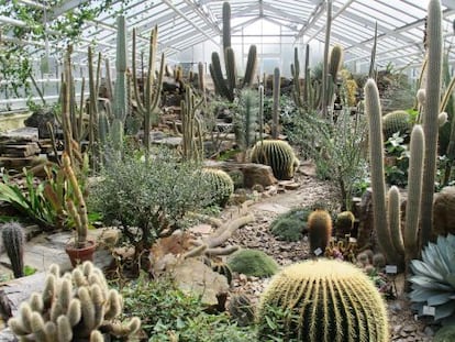 Sala de cactus en el Jardín Botánico de M&uacute;nich. 