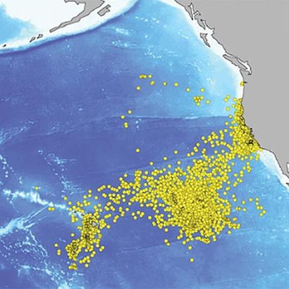 El gráfico muestra la circulación de 47 tiburones blancos seguidos por satélite frente a Baja California.