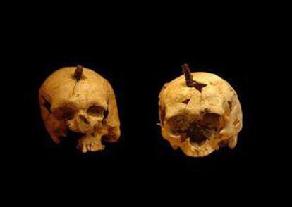 Dos cráneos iberos enclavados ritualmente.