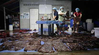 Las bolsas de plástico halladas en el estómago de la ballena que murió en Tailandia.