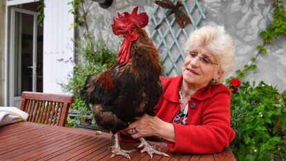 Corinne Fesseau con el gallo Maurice en el jardín de su casa de Saint-Pierre-d'Oleron, este miércoles.