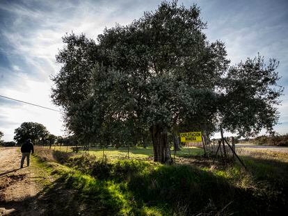 Una de las parcelas de Retortillo (Salamanca) adquiridas por Berkeley para acometer su proyecto de minería de uranio.