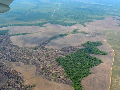 Imágenes aéreas de la deforestación en la Amazonia colombiana.