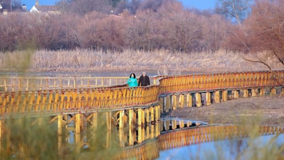 Dos personas caminan por el parque de las Tablas de Daimiel, en Ciudad Real, este mes.