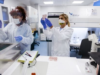 Dos empleadas de Algenex trabajan en el laboratorio de Tres Cantos.