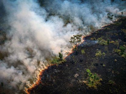 Vista aérea de un área quemada en la selva amazónica, cerca de la Reserva Extractiva Lago do Cunia, en la frontera de los estados de Rondonia y Amazonas, al norte de Brasil, el 31 de agosto de 2022.