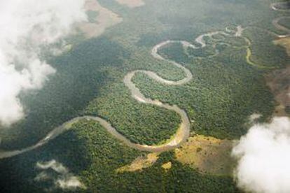 Vista aérea de la selva tropical en la República del Congo, en África central.