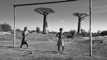 Madagascar, Avenida de los Baobabs.