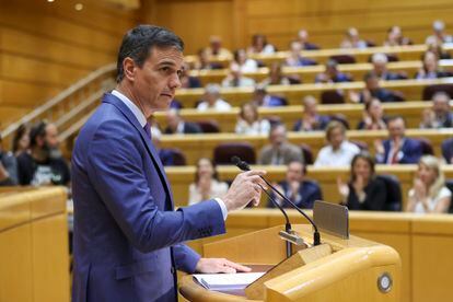 El presidente del Gobierno, Pedro Sánchez, en el pleno del Senado.