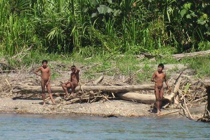 Fotografía sin fecha, de Survival Internacional, que muestra miembros de la tribu indígena Mashco-Piro en las inmediaciones del Parque Nacional del Manu, en el sureste de Perú.