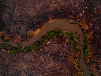 Imagen aérea de una zona quemada en el Pantanal, en Mato Grosso (Brasil), el pasado septiembre.