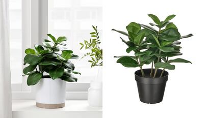 Plantas artificiales: cómo hacer que se vean reales