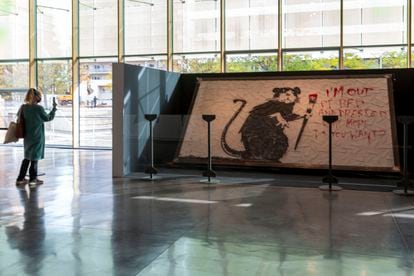 Una de las dos obras de Banksy arrancadas de los muros, 'Rata recién levantada' que recibe al visitante de la exposición en el  Disseny Hub Barcelona y es la primera vez que se expone.