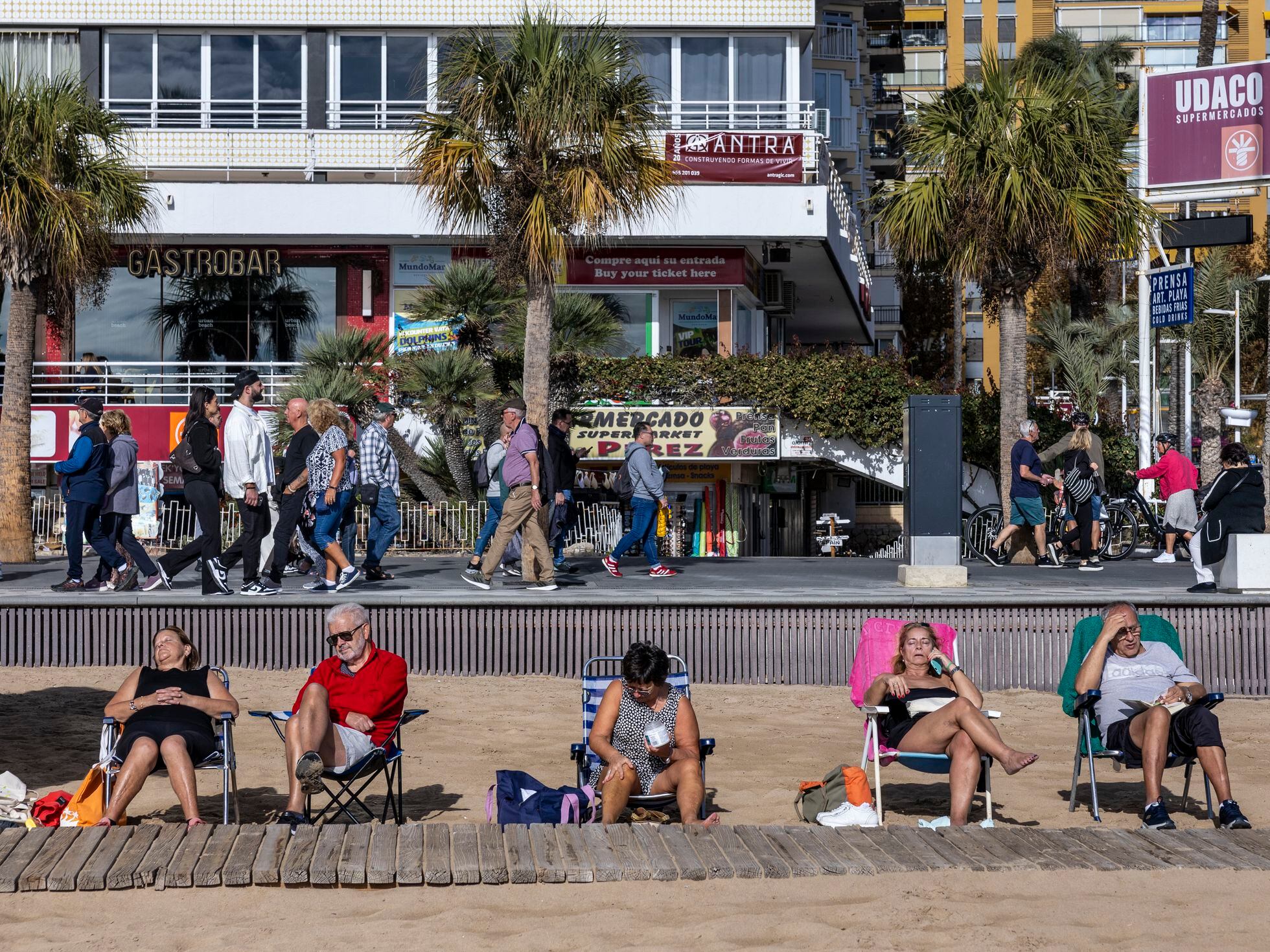 8 plazas de turismo eléctrico Carro de la playa para el turista