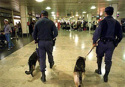 Policías acompañados de perros vigilan uno de los vestíbulos de facturación y compra de billetes del aeropuerto de Barajas.