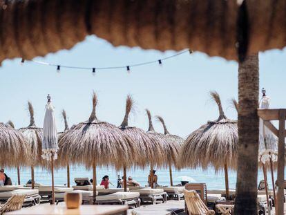 Tumbonas en La Palapa Beach Jazba, en Torremolinos (Málaga).