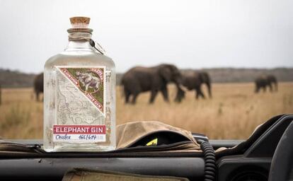Elephant Gin.