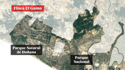 Por qué legalizar riegos en una finca agrícola a 18 kilómetros de Doñana deteriora el parque