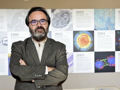 El biòleg Lluís Montoliu, del Centre Nacional de Biotecnologia, a Madrid.