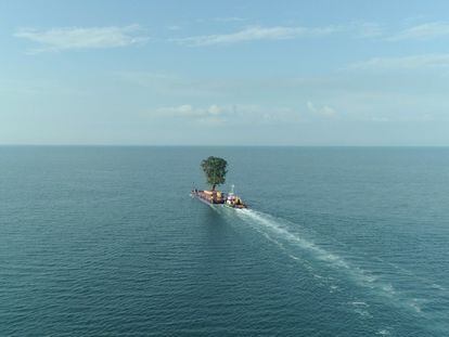 Una de las imágenes más poderosas de 'Taming the garden' es la de este árbol cruzando el mar Negro para ser transportado hacia un nuevo jardín.