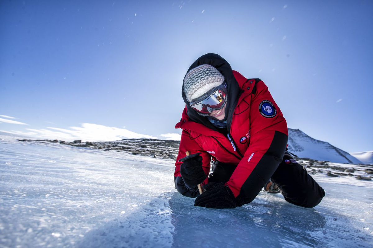 Veronica Tollenaar : Instructions pour trouver une météorite |  Science