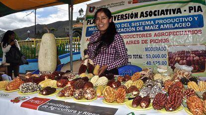 Una joven de la Asociación de Productores Buenos Aires de Pichos muestra algunas de las decenas de variedades de maíz que cultivan.