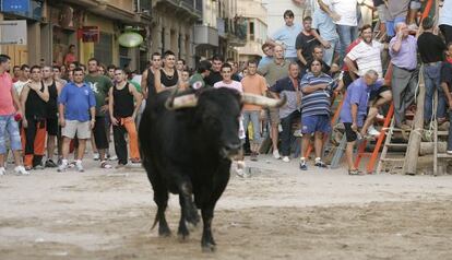 Festejo taurino en Borriana (Castellón)